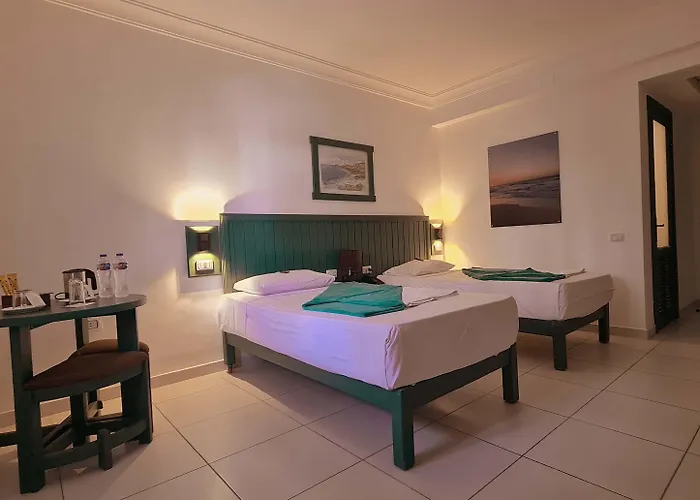 Zak الغردقة